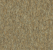 Ковровая плитка Interface New Horizons II 5581 Wheat фото 1 | FLOORDEALER